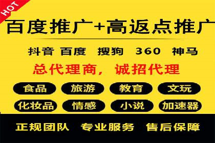 百度推广实战案例：如何精准投放广告